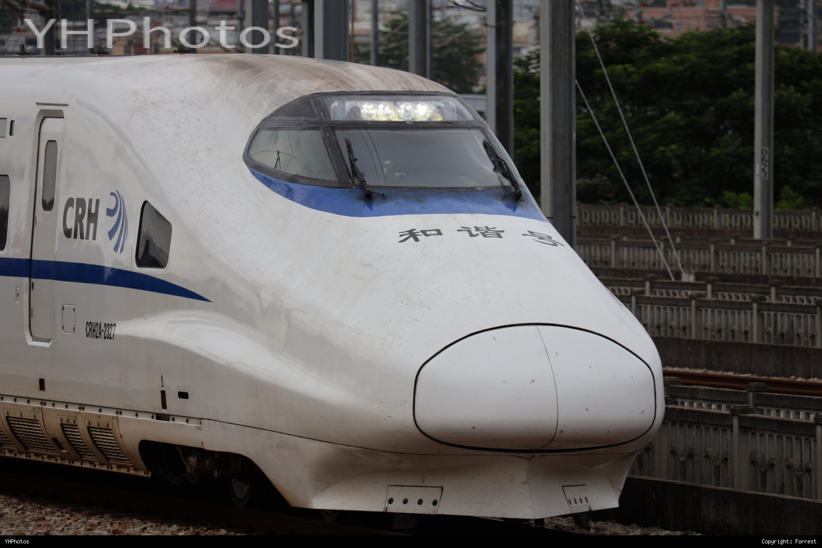 带鱼进入广州南站