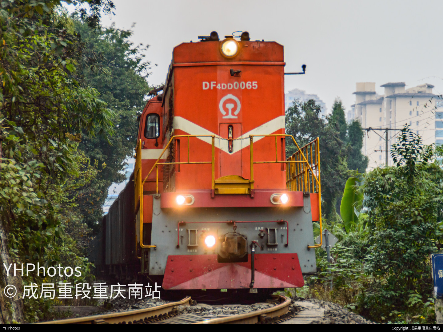 穿梭于城市林荫中