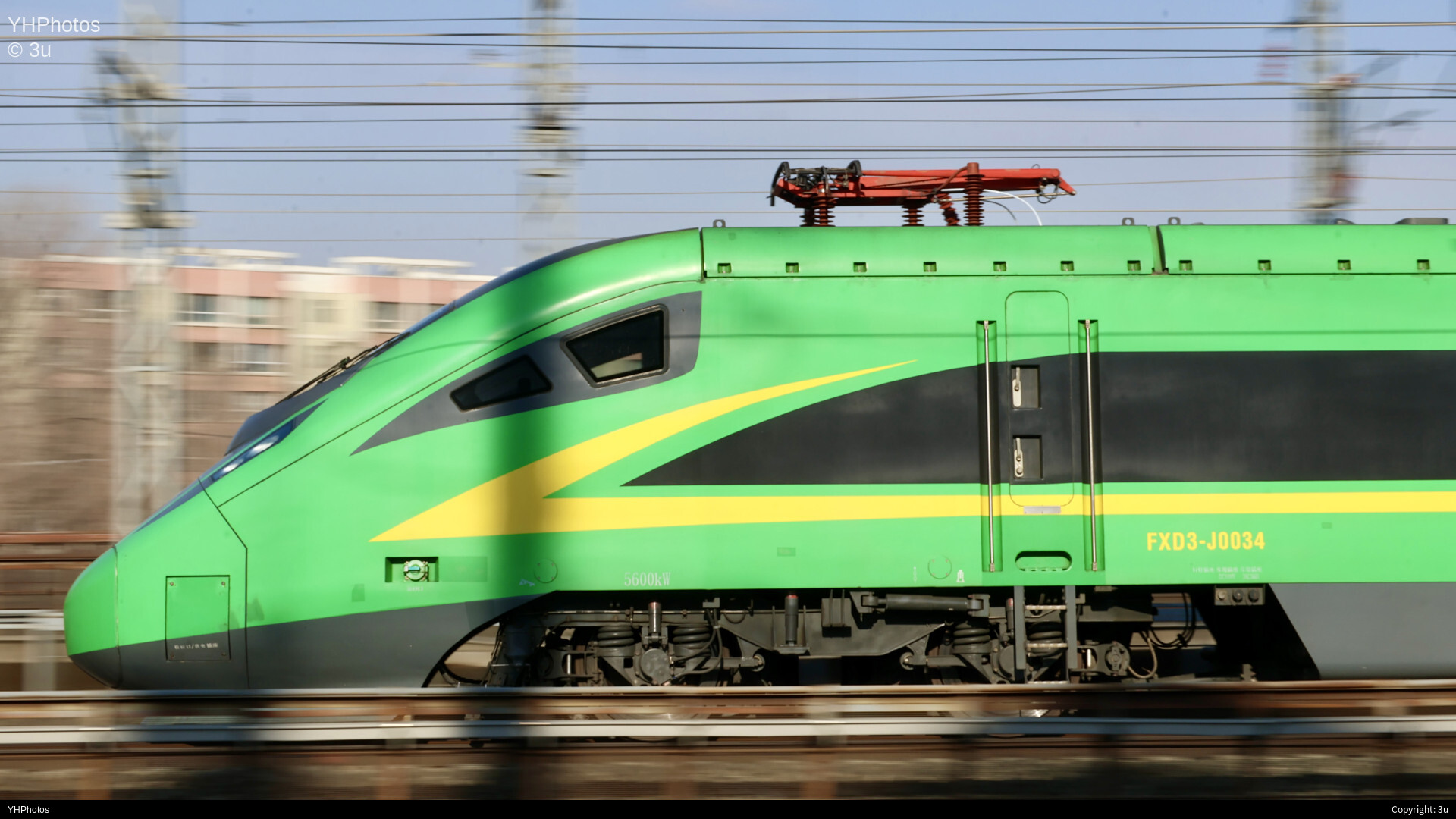 绿油油的东西🤭