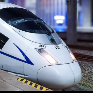 666沈局一只兔吗有点儿意思