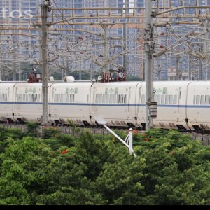 带鱼进入广州南站