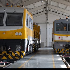 俱乐部接触网金牌打手