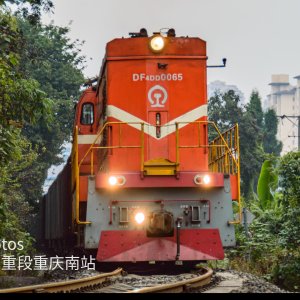 穿梭于城市林荫中